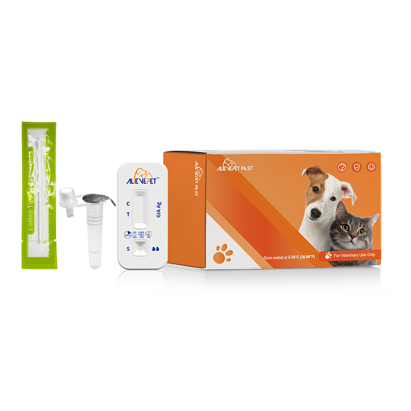 GIA kiirtesti komplekt